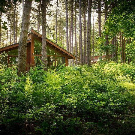 Blackwood Forest Cabins - Forest Holidays Popham Екстериор снимка