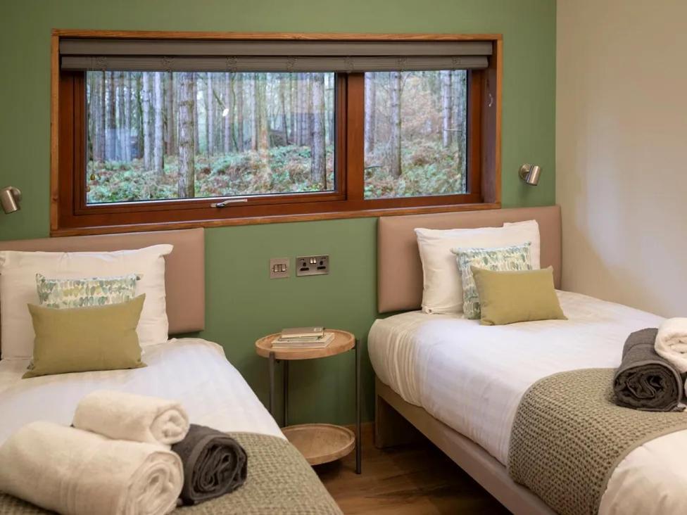 Blackwood Forest Cabins - Forest Holidays Popham Екстериор снимка