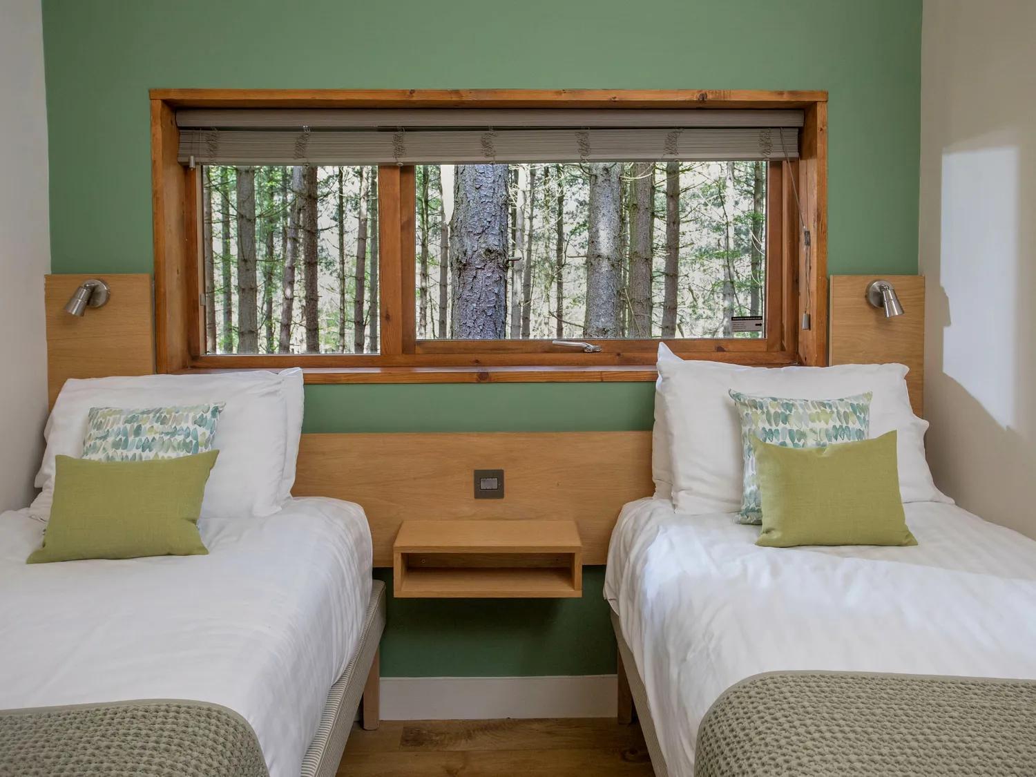 Blackwood Forest Cabins - Forest Holidays Popham Екстериор снимка