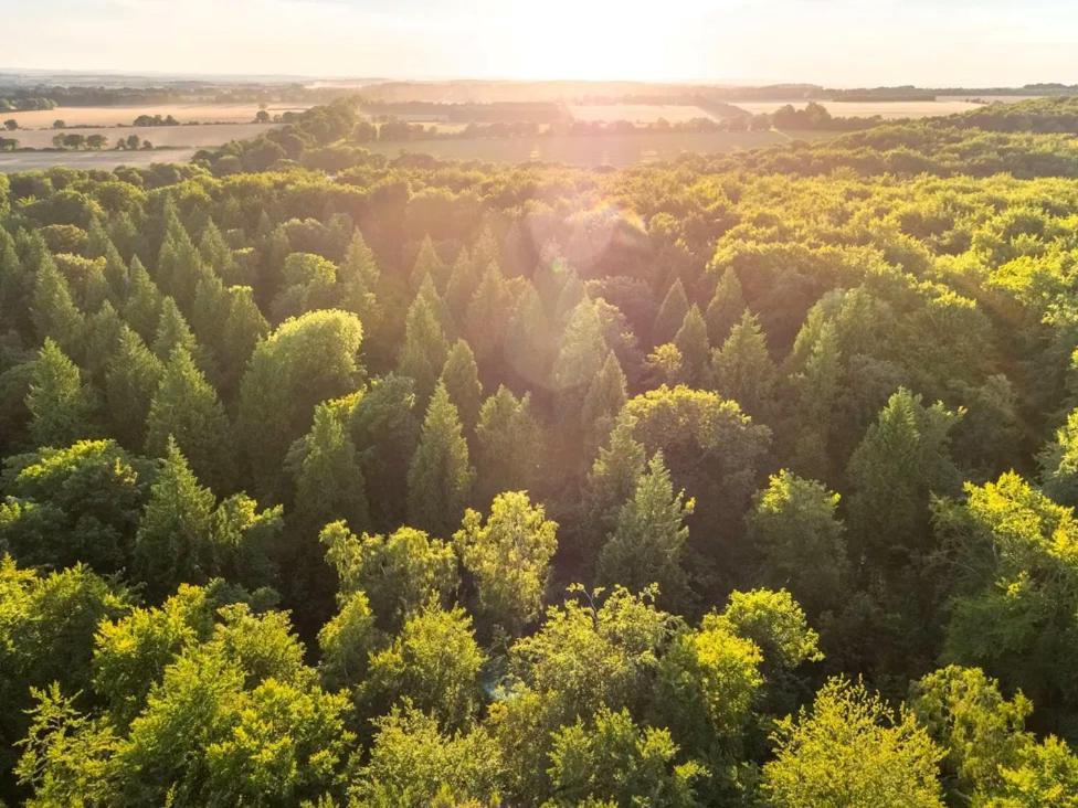 Blackwood Forest Cabins - Forest Holidays Popham Екстериор снимка