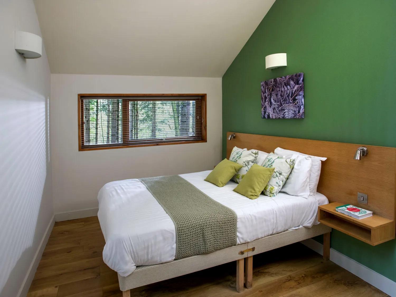 Blackwood Forest Cabins - Forest Holidays Popham Екстериор снимка