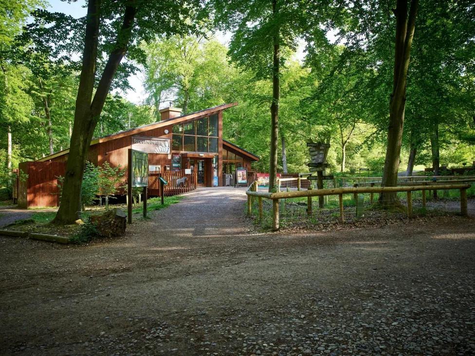 Blackwood Forest Cabins - Forest Holidays Popham Екстериор снимка