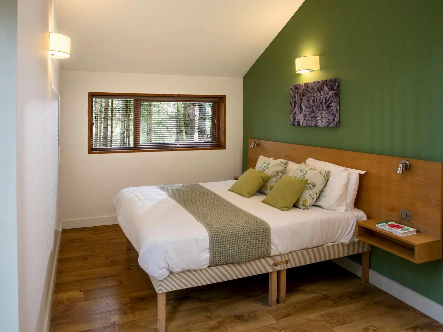 Blackwood Forest Cabins - Forest Holidays Popham Екстериор снимка
