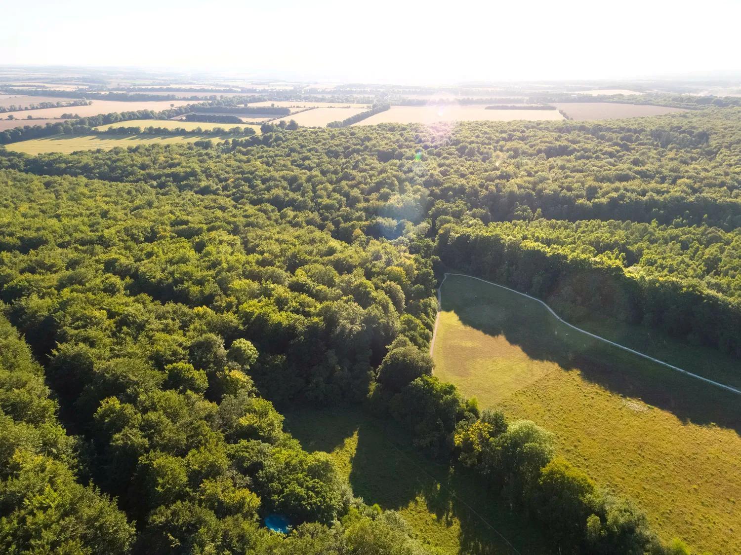 Blackwood Forest Cabins - Forest Holidays Popham Екстериор снимка