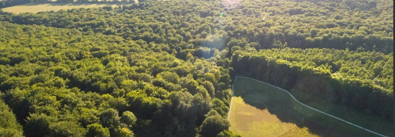 Blackwood Forest Cabins - Forest Holidays Popham Екстериор снимка